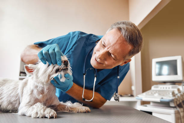 Best Same-Day Emergency Dental Services in Drew, MS